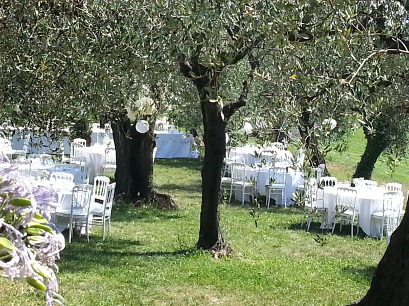 Napoléon III Blanche